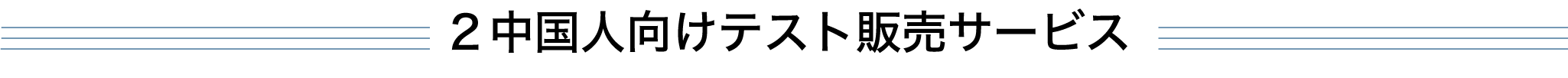 2 中国人向けテスト販売サービス