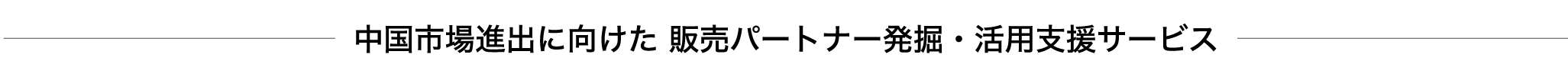 中国市場進出に向けた販売パートナー発掘・活用支援サービス